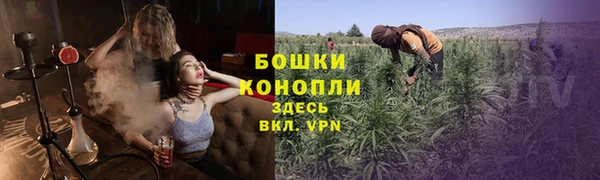 спайс Алексин