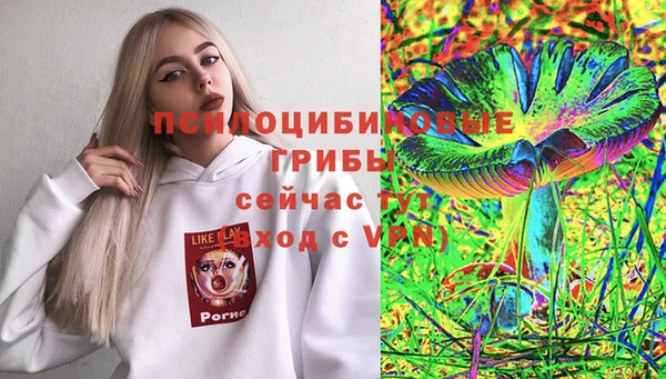 сатива Алзамай